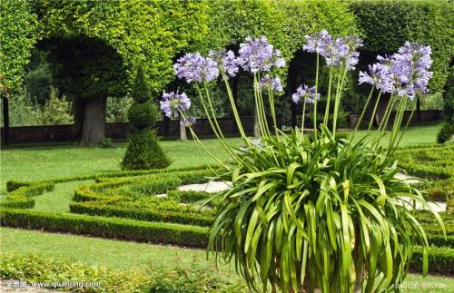 ֯ȫۼ¹ȷﲡ79673754